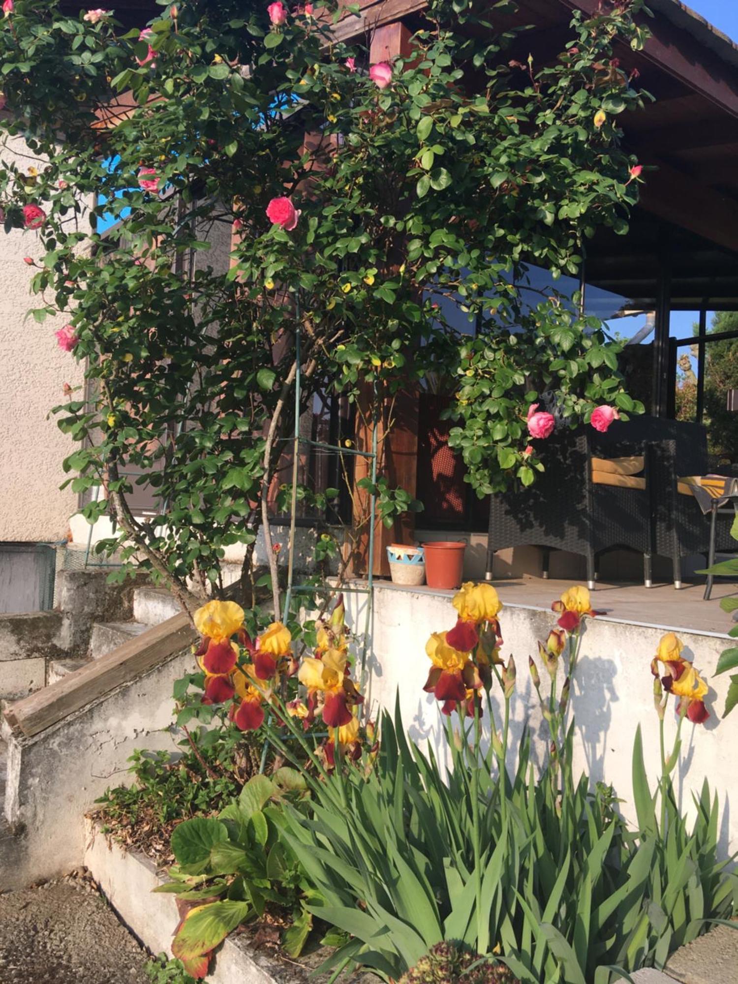 La Colombe Apartment Vienne  Luaran gambar